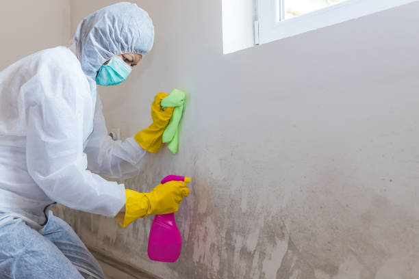 Best Industrial Mold Remediation  in Atasdero, CA