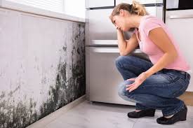 Best Mold Prevention Services  in Atasdero, CA